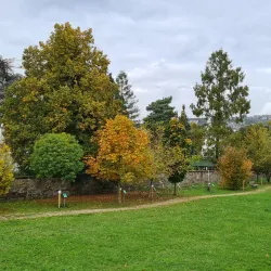 Remagen War Cemetery - Remagen