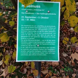 Remagen War Cemetery - Remagen