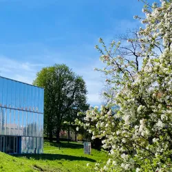 City Theatre Reutlingen (Stadttheater Reutlingen) - Reutlingen