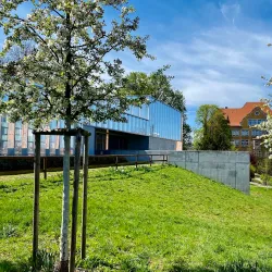 City Theatre Reutlingen (Stadttheater Reutlingen) - Reutlingen