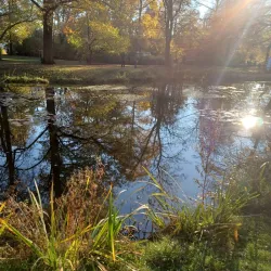 Gartenstraße Park - Reutlingen