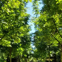 Gartenstraße Park - Reutlingen