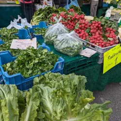 Reutlingen Market Square (Marktplatz) - Reutlingen