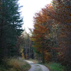 Swabian Jura Nature Park - Reutlingen