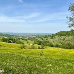 Swabian Jura Nature Park - Reutlingen