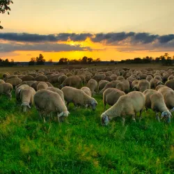 Swabian Jura Nature Park - Reutlingen