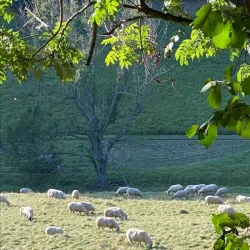 Swabian Jura Nature Park - Reutlingen