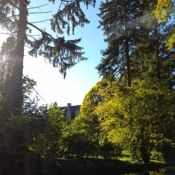 Bevergern Castle Ruins - Rheine