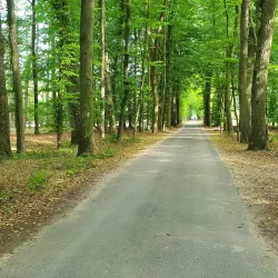 Bevergern Castle Ruins - Rheine