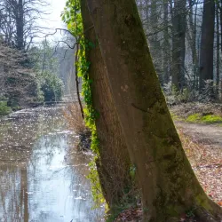 Bevergern Castle Ruins - Rheine
