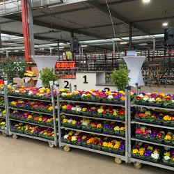 Emsflower Park (Emsflower) - Rheine