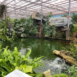 Emsflower Park (Emsflower) - Rheine