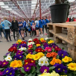 Emsflower Park (Emsflower) - Rheine