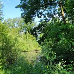 Kiebitzmoor Nature Reserve - Rheine