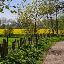 Kiebitzmoor Nature Reserve - Rheine