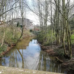 Rheine City Park (Stadtpark Rheine) - Rheine