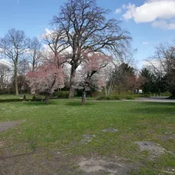 Rheine City Park (Stadtpark Rheine) - Rheine