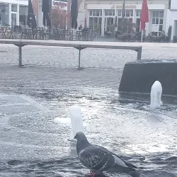 Rheine Market Square (Marktplatz) - Rheine