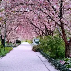 Rostock University Botanical Garden - Rostock