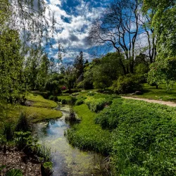 Rostock University Botanical Garden - Rostock