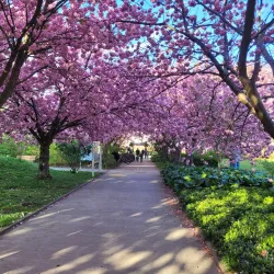 Rostock University Botanical Garden - Rostock