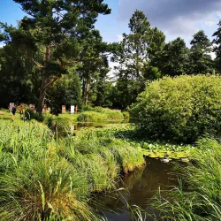Rostock University Botanical Garden - Rostock