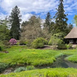 Rostock University Botanical Garden - Rostock