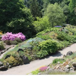 Rostock University Botanical Garden - Rostock