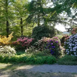 Rostock University Botanical Garden - Rostock