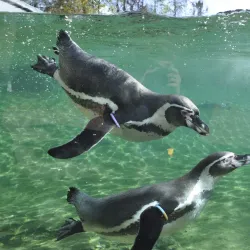 Rostock Zoo - Rostock