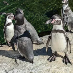 Rostock Zoo - Rostock