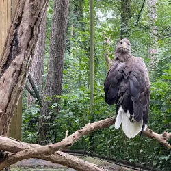 Rostock Zoo - Rostock
