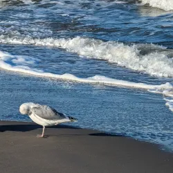 Warnemünde Beach - Rostock