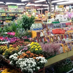 Kleinmarkthalle Rüsselsheim - Ruesselsheim