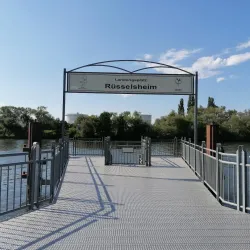 Main River Promenade - Ruesselsheim
