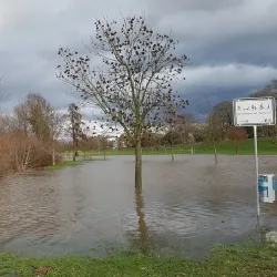 Main River Promenade - Ruesselsheim