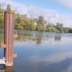 Main River Promenade - Ruesselsheim