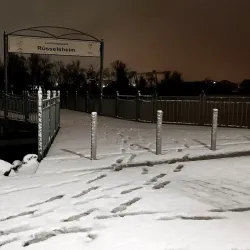 Main River Promenade - Ruesselsheim