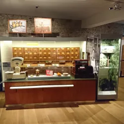 Rüsselsheim Museum - Ruesselsheim