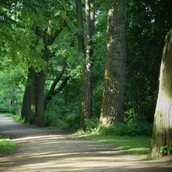 Schweinfurt City Park (Stadtpark) - Schweinfurt