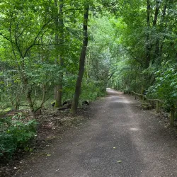 Schweinfurt City Park (Stadtpark) - Schweinfurt