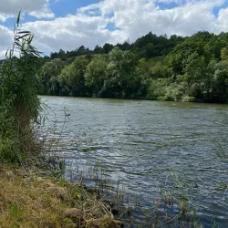 Schweinfurt City Park (Stadtpark) - Schweinfurt