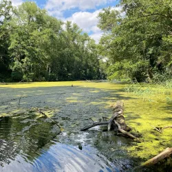 Schweinfurt City Park (Stadtpark) - Schweinfurt