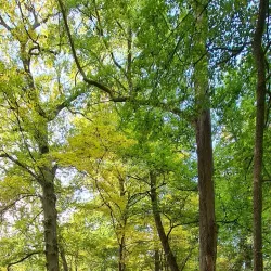 Schweinfurt City Park (Stadtpark) - Schweinfurt