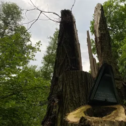 Schweinfurt City Park (Stadtpark) - Schweinfurt