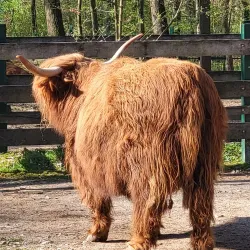 Schweinfurt Zoo - Schweinfurt