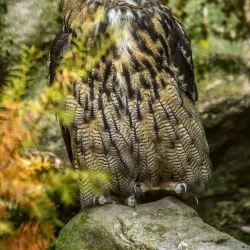 Schweinfurt Zoo - Schweinfurt