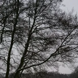 Lankower See - Schwerin