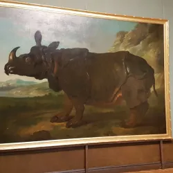 Museum of Schwerin City History (Stadtgeschichtliches Museum Schwerin) - Schwerin