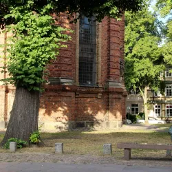 Schelfkirche St. Nikolai - Schwerin